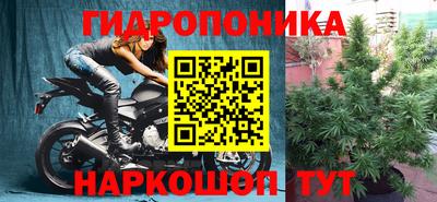 каннабис Берёзовский