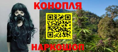 кокс Бийск