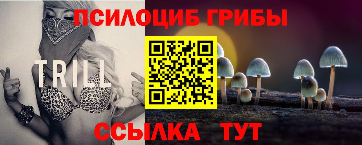 Иваново  что такое   Псилоцибиновые грибы Cubensis  Вход с VPN  Галлюциногенные грибы Magic Shrooms 